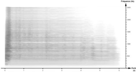 Trombone Basse : Sonogramme réalisé en 2010 avec le logiciel Audiosculpt à partir d’un échantillon sonore enregistré à l’Ircam.